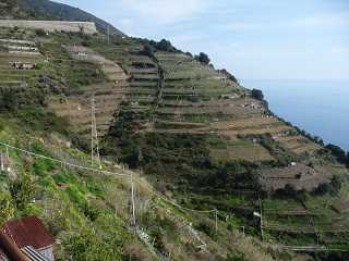 Foto: Cinque Terre hills, © Stefan Radner Cinque Terre park