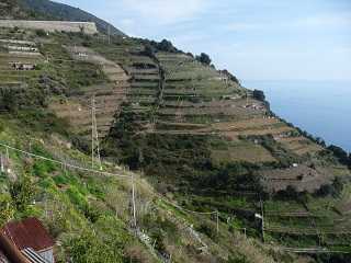 Cinque Terre park