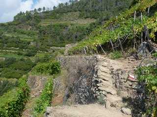 Cinque Terre Wanderung