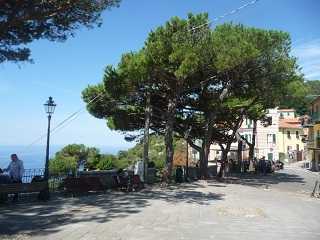 Cinque Terre Campiglia