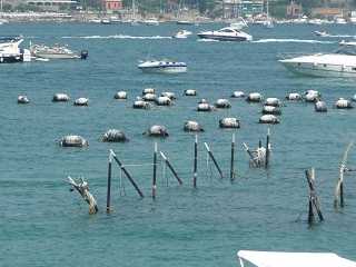 Portofino Hafen